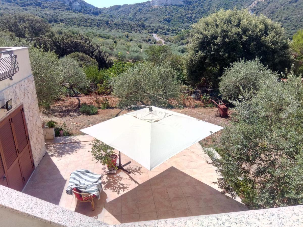 Residence Degli Ulivi Ossi Екстериор снимка